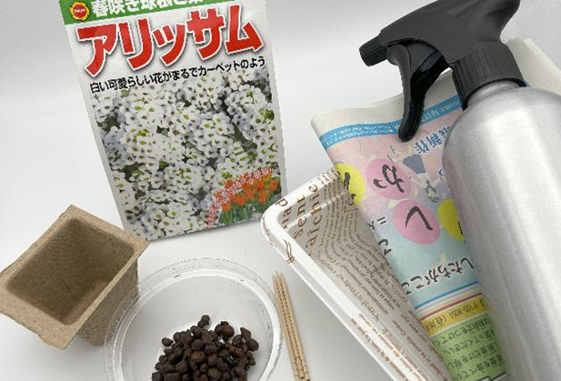 アリッサムの種まきに使ったもの