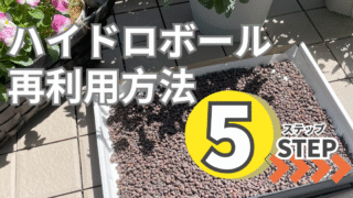 ハイドロボールの再利用方法｜洗浄から保管までの5ステップ