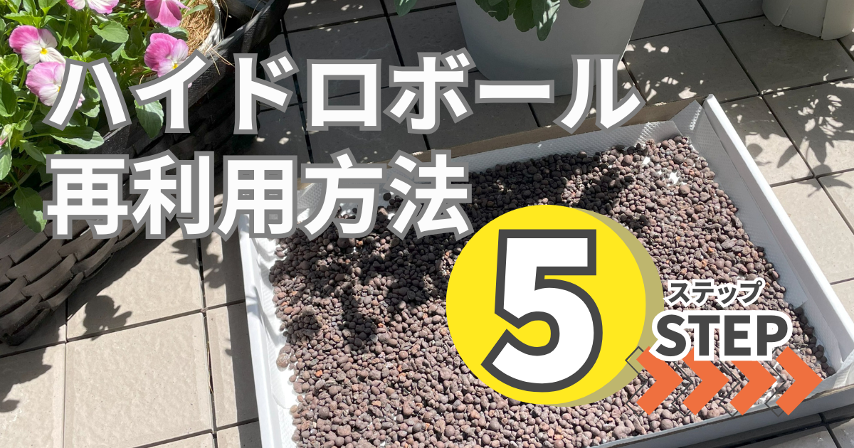 ハイドロボールの再利用方法｜洗浄から保管までの5ステップ