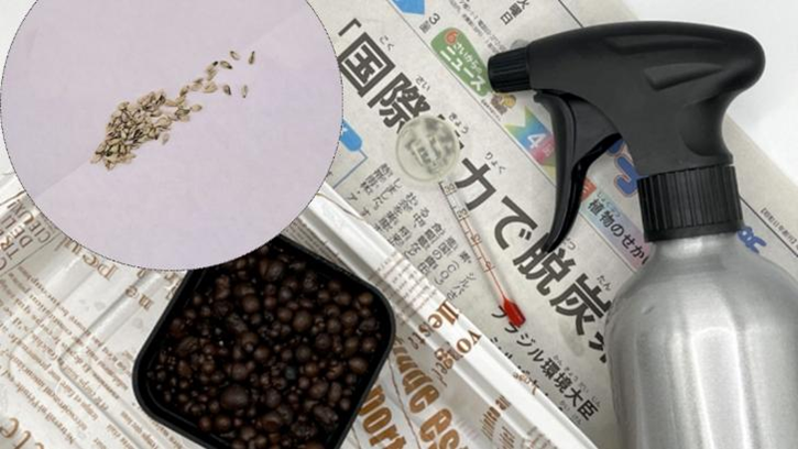 種まきに必要な道具と千日紅の種