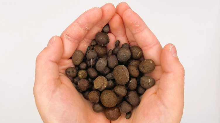 両手にハイドロボールを持っている様子