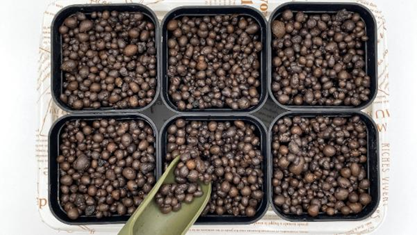 6つの黒い鉢にハイドロボールを入れている様子