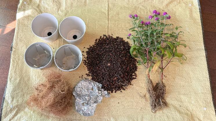 千日紅の花苗とハイドロボール、鉢、ココヤシファイバー、アルミホイルを分別して並べている様子