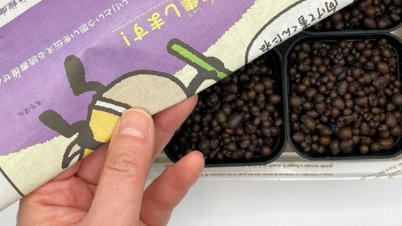 ハイドロボール入りの鉢に新聞紙を被せている様子