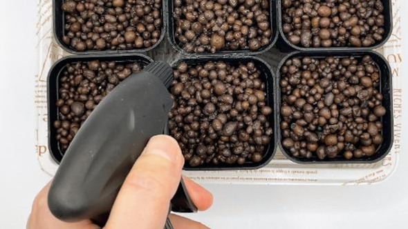 霧吹きで水やりをしている様子