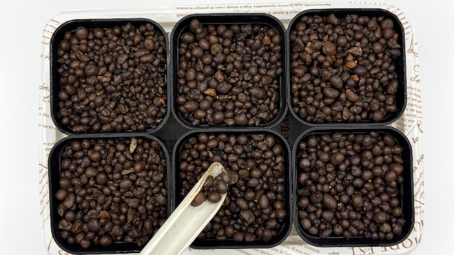 まいたビオラの種の上にハイドロボールをかけている様子