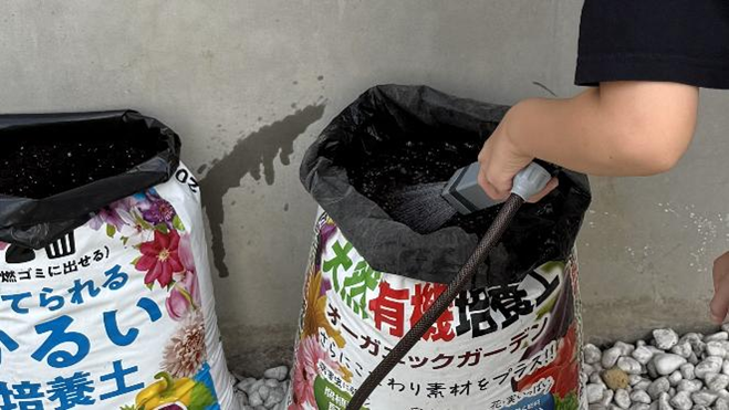 培養土袋に水をかけて湿らせている様子