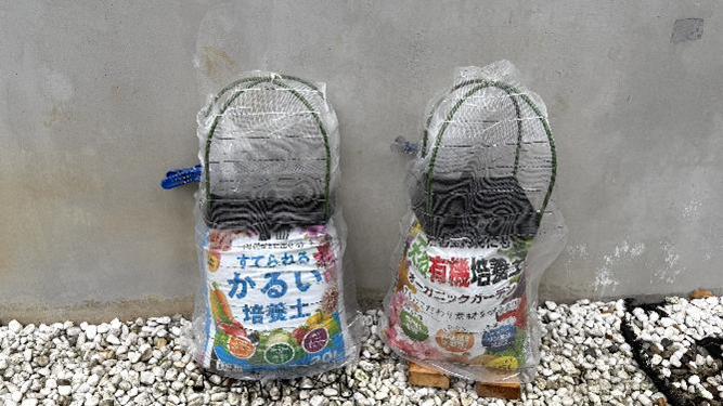 培養土と捨てられる土が入った2つの袋
