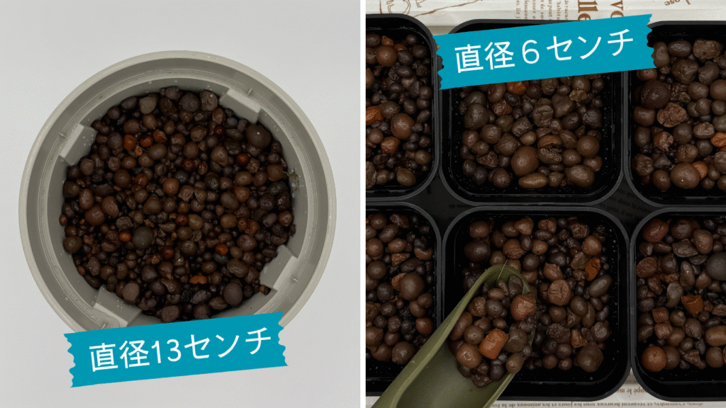 直径13cmと6cmのポットを並べて比較している様子