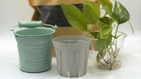 パフカルチップ、ポトス、スリットポット、鉢カバーを並べた植え付け材料