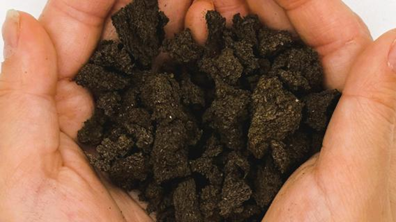 掌にのせたパフカルチップ