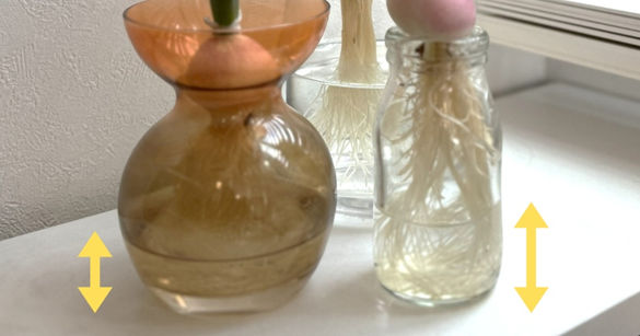 水位の位置を矢印で示した説明画像