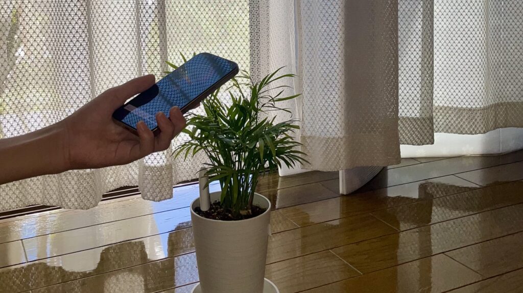 窓際でスマートフォンを使って光量を測定している様子
